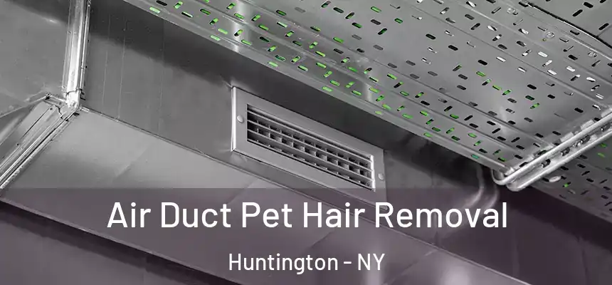  Air Duct Pet Hair Removal Huntington - NY