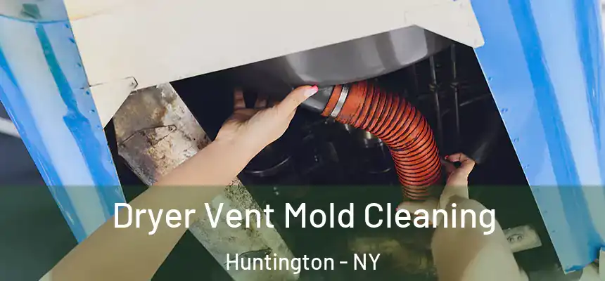  Dryer Vent Mold Cleaning Huntington - NY