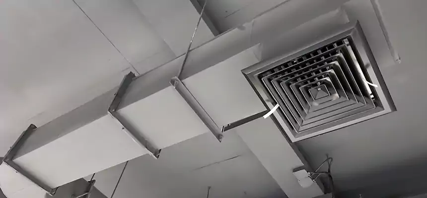 Our Pest Removal From Ducts Services in Huntington, NY