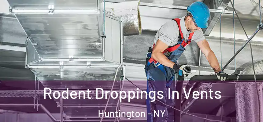  Rodent Droppings In Vents Huntington - NY