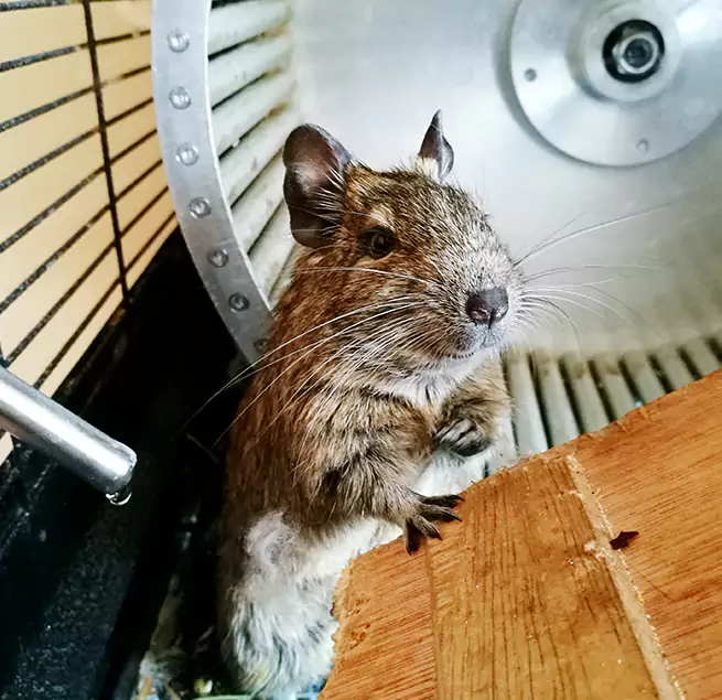 Why Homeowners & Businesses Trust Us Huntington, NY